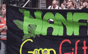 Bild - Bilder der Hanfparade 2008