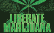 Bild - GMM Global denken lokal legalisieren