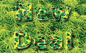 Bild - Green New Deal ohne Hanf?