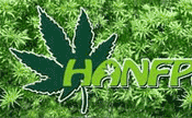 Bild zum Artikel - Cannabisanbau bleibt straffrei