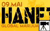 Bild - Yes we Cannabis! GMM in Deutschland