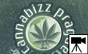 Bild - Cannabizz 2010 in Prag